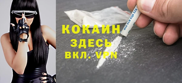 гидра Корсаков