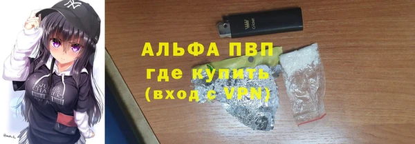 молекула духа Вязьма