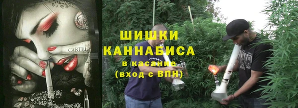 молекула духа Вязьма
