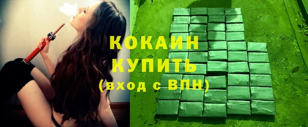 молекула духа Вязьма