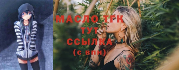 молекула духа Вязьма
