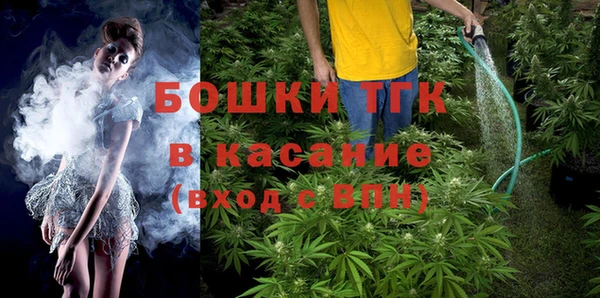 ПСИЛОЦИБИНОВЫЕ ГРИБЫ Козловка
