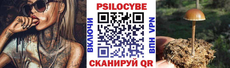 сайты даркнета телеграм  где можно купить   Заводоуковск  Псилоцибиновые грибы GOLDEN TEACHER 